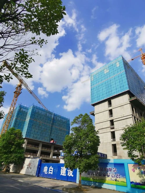 头条关注 雪松 渥太华 东客站枢纽经济功能区重大项目最新进展