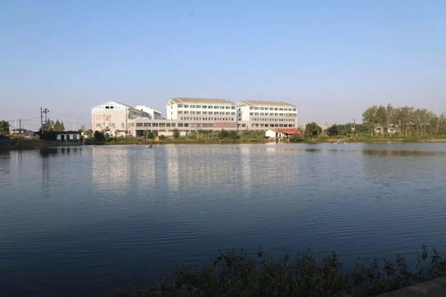湘阴县金湖大酒店带给你不一样的新体验 你想要的这里全都有